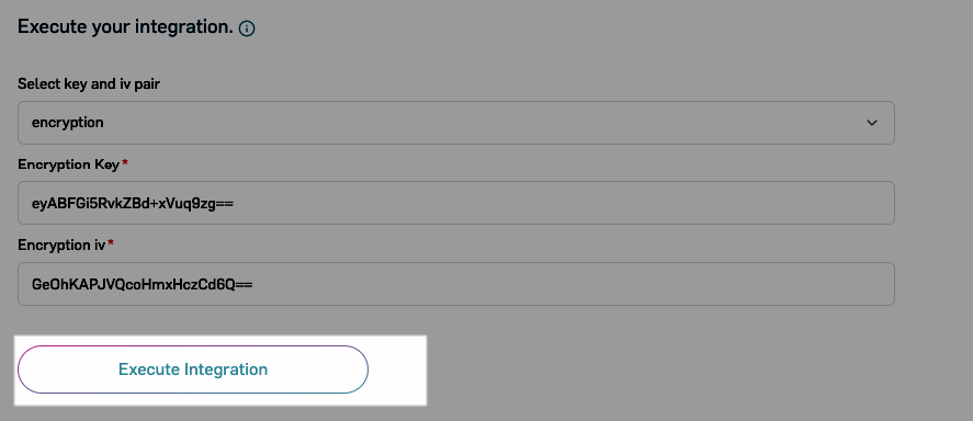 Execute Integration button highlighted in the Developer IDE for ...